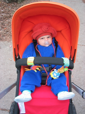 Zoe in the stroller and snowsuit